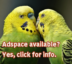 “Adspace
